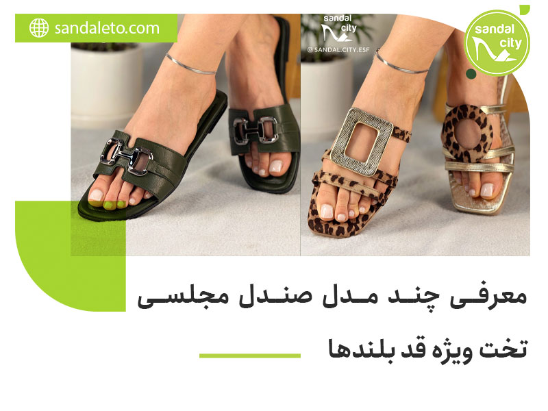 معرفی چند مدل صندل مجلسی تخت ویژه قد بلندها